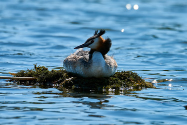 Similar image 21553384