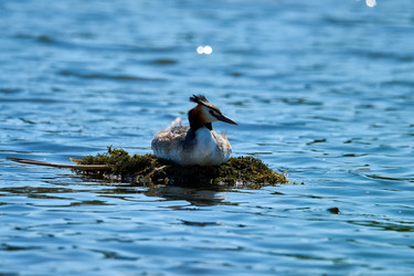 Similar image 21553385