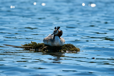 Similar image 21553388