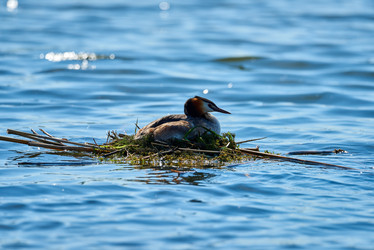 Similar image 21553389