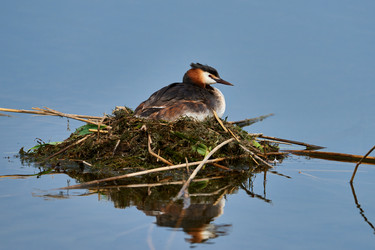 Similar image 21553391