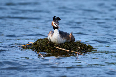 Similar image 21553395