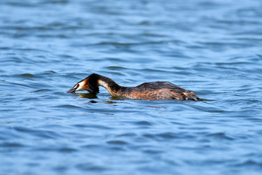 Similar image 21553397