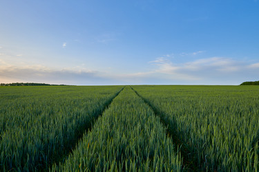 Similar image 21553400