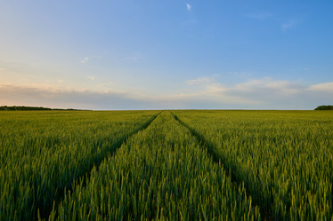 Similar image 21553401