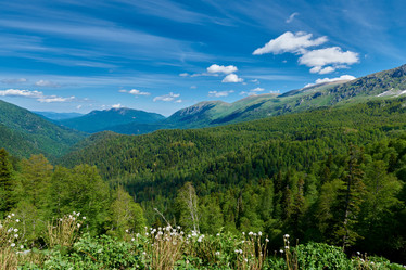 Similar image 21553404