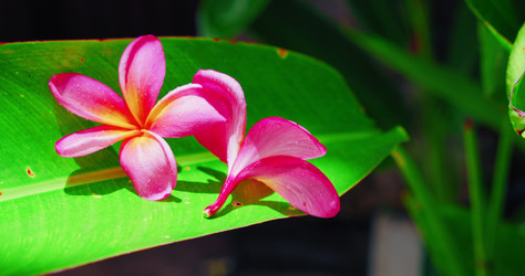 Similar image 21562357