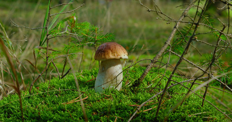 Similar image 21562362