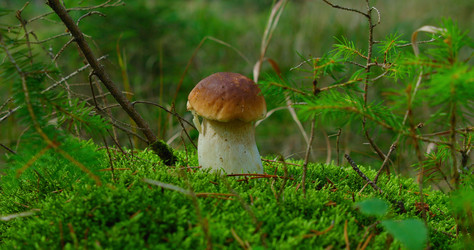 Similar image 21553541