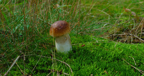 Similar image 21562365