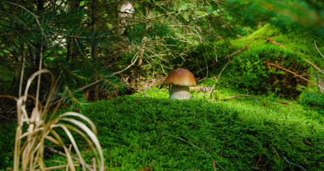 Similar image 21553544