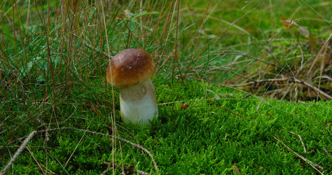 Similar image 21562372