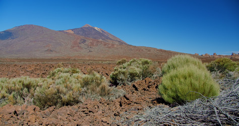 Similar image 21562190