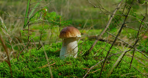 Similar image 21553437