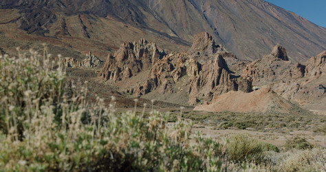 Similar image 21553440