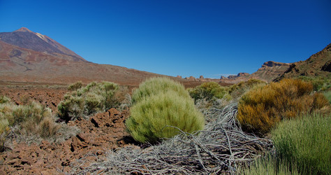 Similar image 21562194