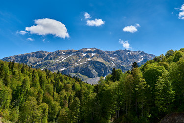 Similar image 21553178