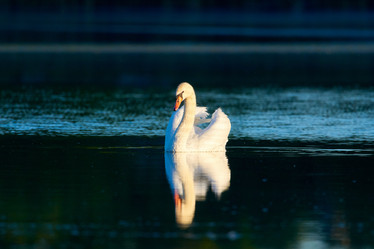 Similar image 21553199