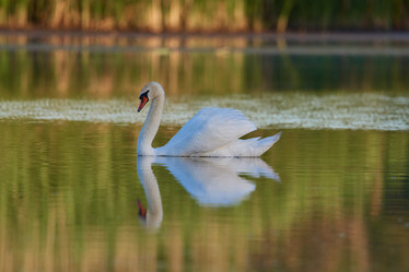 Similar image 21553203