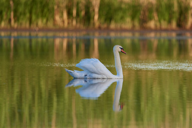 Similar image 21553204