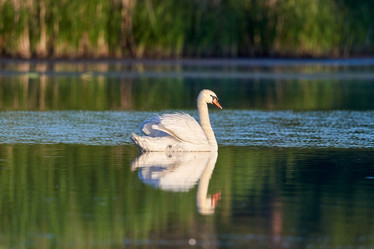 Similar image 21553207