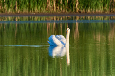 Similar image 21553208