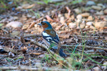 Similar image 21553210