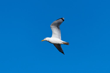 Similar image 21553211