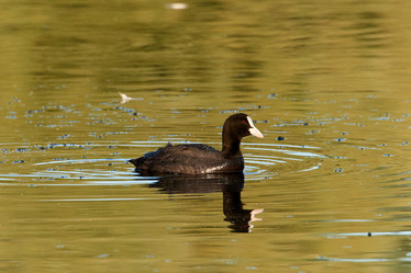 Similar image 21553212