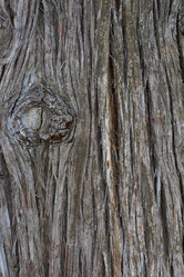 Similar image 21553214