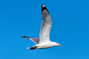 Similar image 21553219