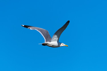 Similar image 21553220