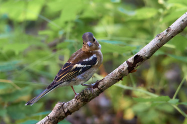 Similar image 21553222