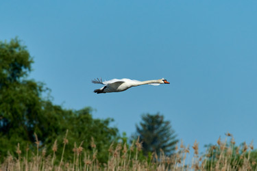 Similar image 21553223