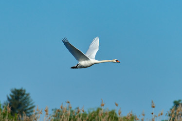 Similar image 21553224