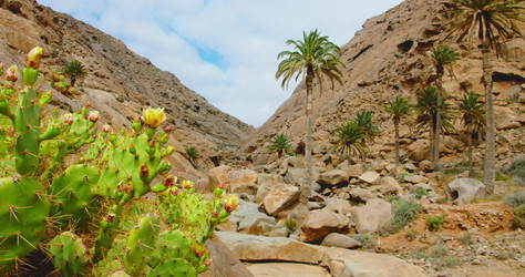 Similar image 21562396