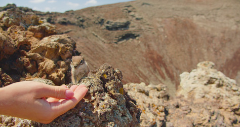 Similar image 21562402