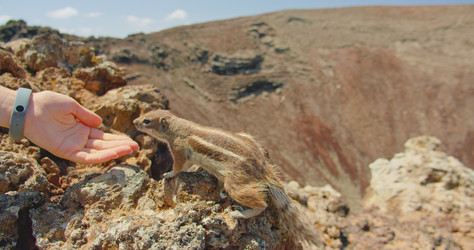 Similar image 21562403