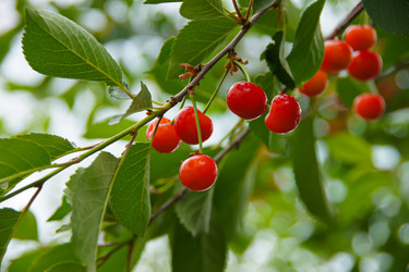 Similar image 21553419