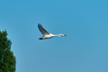 Similar image 21553545