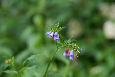 Similar image 21553548