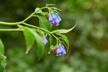 Similar image 21553549