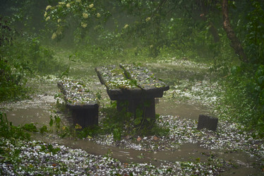 Similar image 21553552