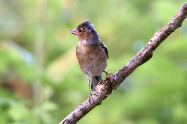 Similar image 21553555