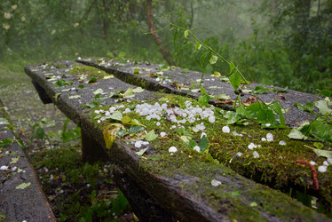 Similar image 21553716