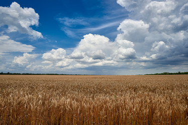 Similar image 21553719