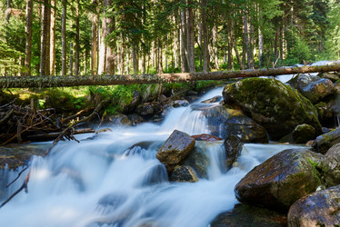 Similar image 21553720