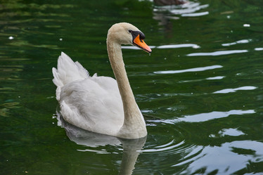 Similar image 21553722