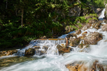 Similar image 21553732