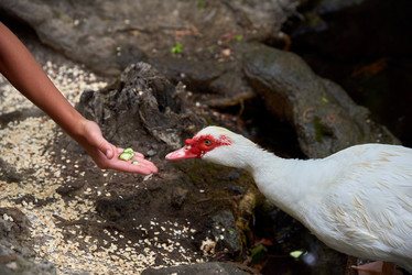 Similar image 21553738